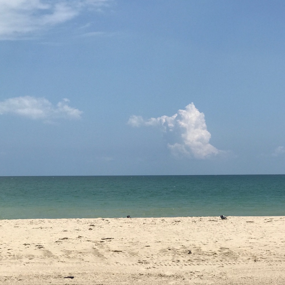 Meet your Posher, Clara